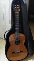 Gitarre für Kinder
