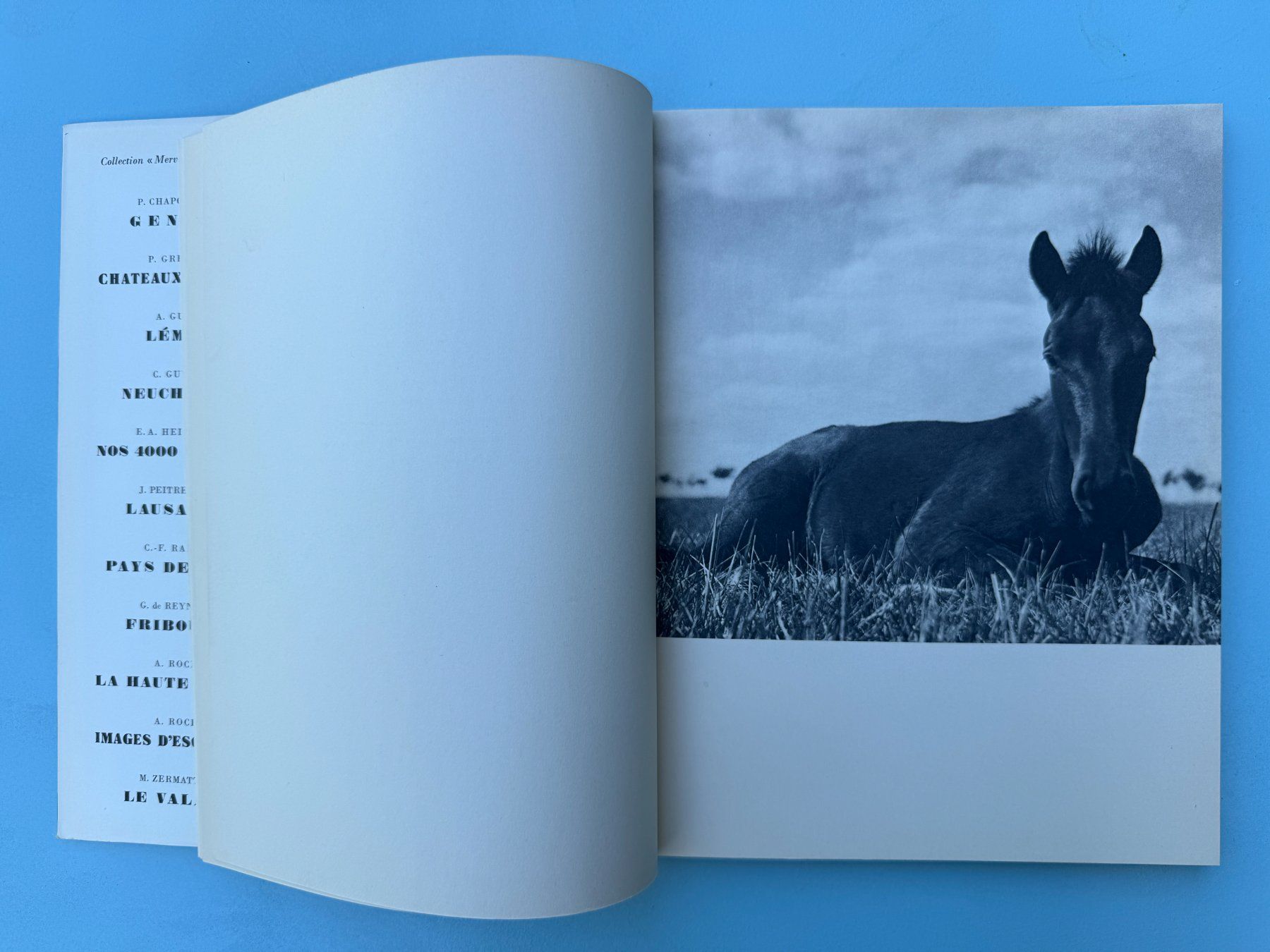 Bücher: Les Chevaux de la Puszta  -  E. A. Heiniger – Gebraucht aus Basel von Kornblumen 2