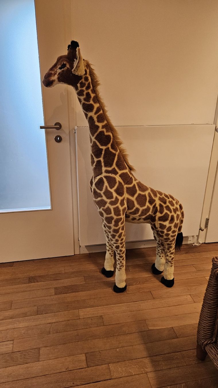 Giocattoli: Grande Girafe en peluche  – Usato da Yverdon-les-Bains venduto da ac_dric