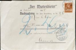 Briefumschlag Der Murtenbieter 1915