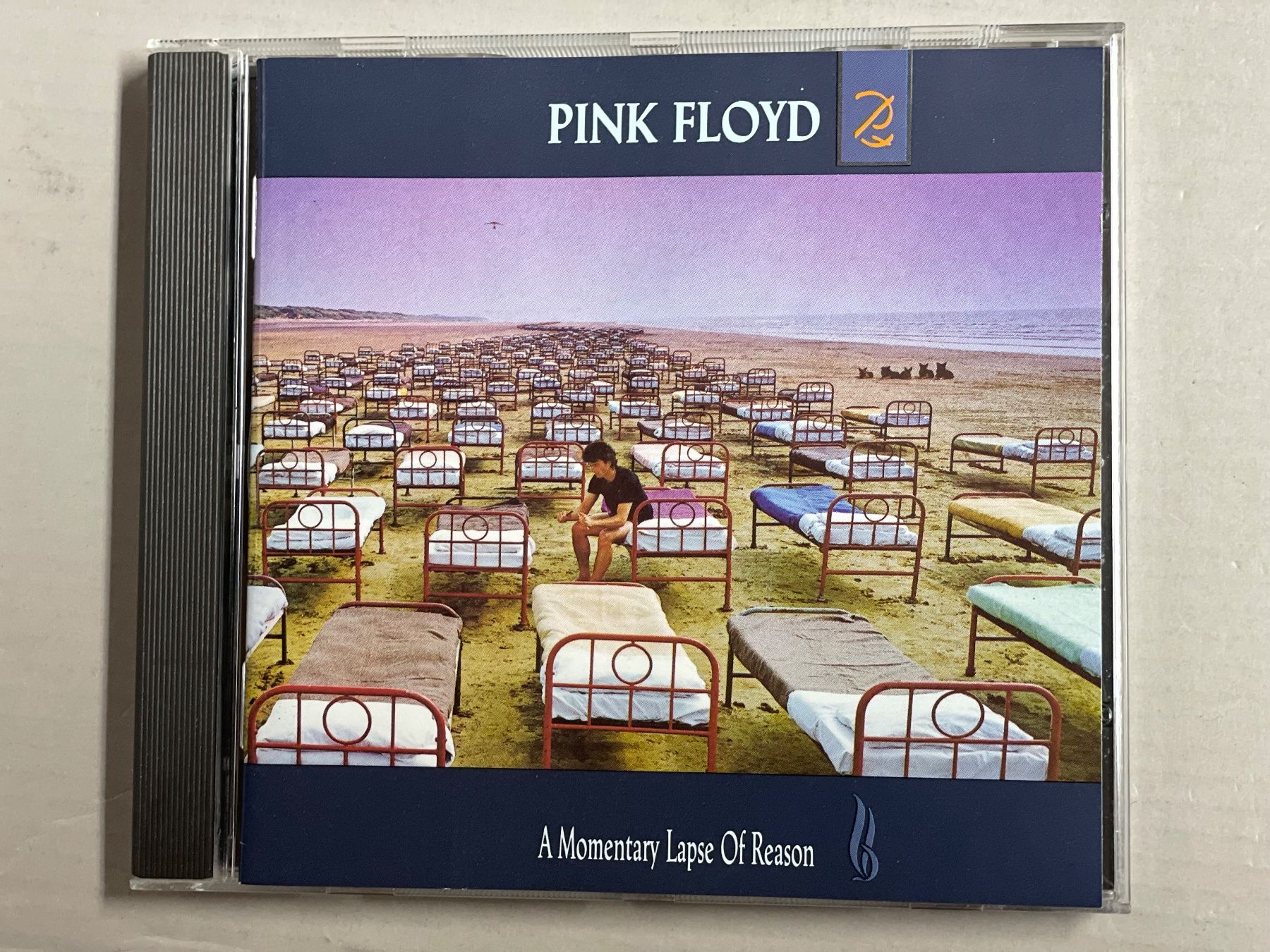 CD: Pink Floyd - Momentary Lapse Of Reason – Usato da Muri b. Bern venduto da AdidasCollector 4