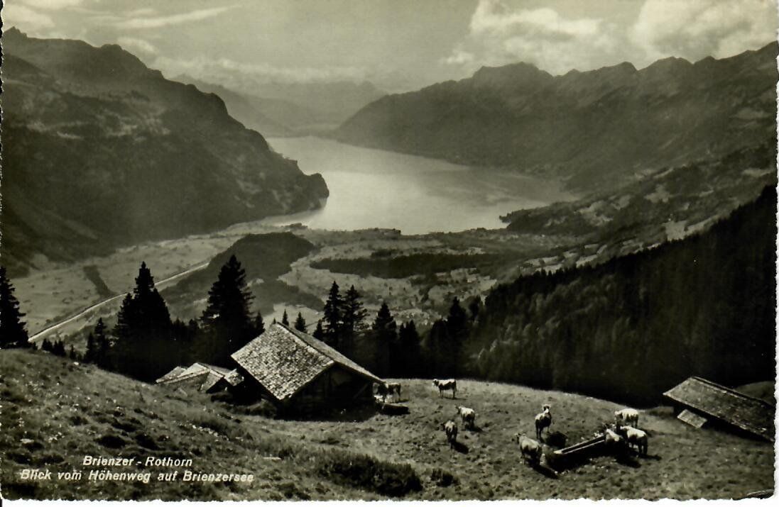 Cartes postales: Brienzer Rothorn  1949 – D'occasion à Hochdorf par Ziegel-16