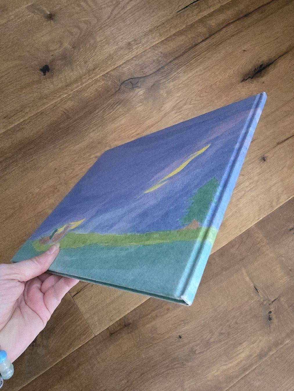 Libri: vom traum des osterhasen bilderbuch – Usato da Wittenbach venduto da Tigerlili 3