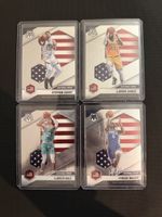 National Pride 4x Lot