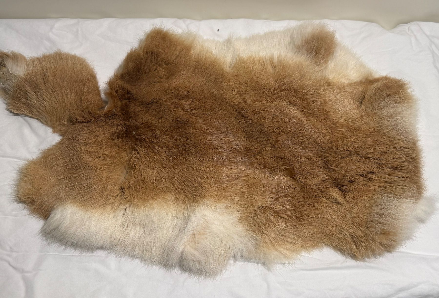 Coperte: Echtes Hasenfell braun weiss – Usato da Basel venduto da karpfen17