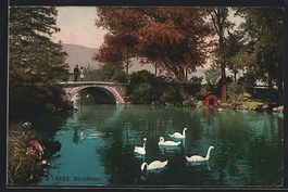 AK Zürichhorn, Brücke mit Schwänen