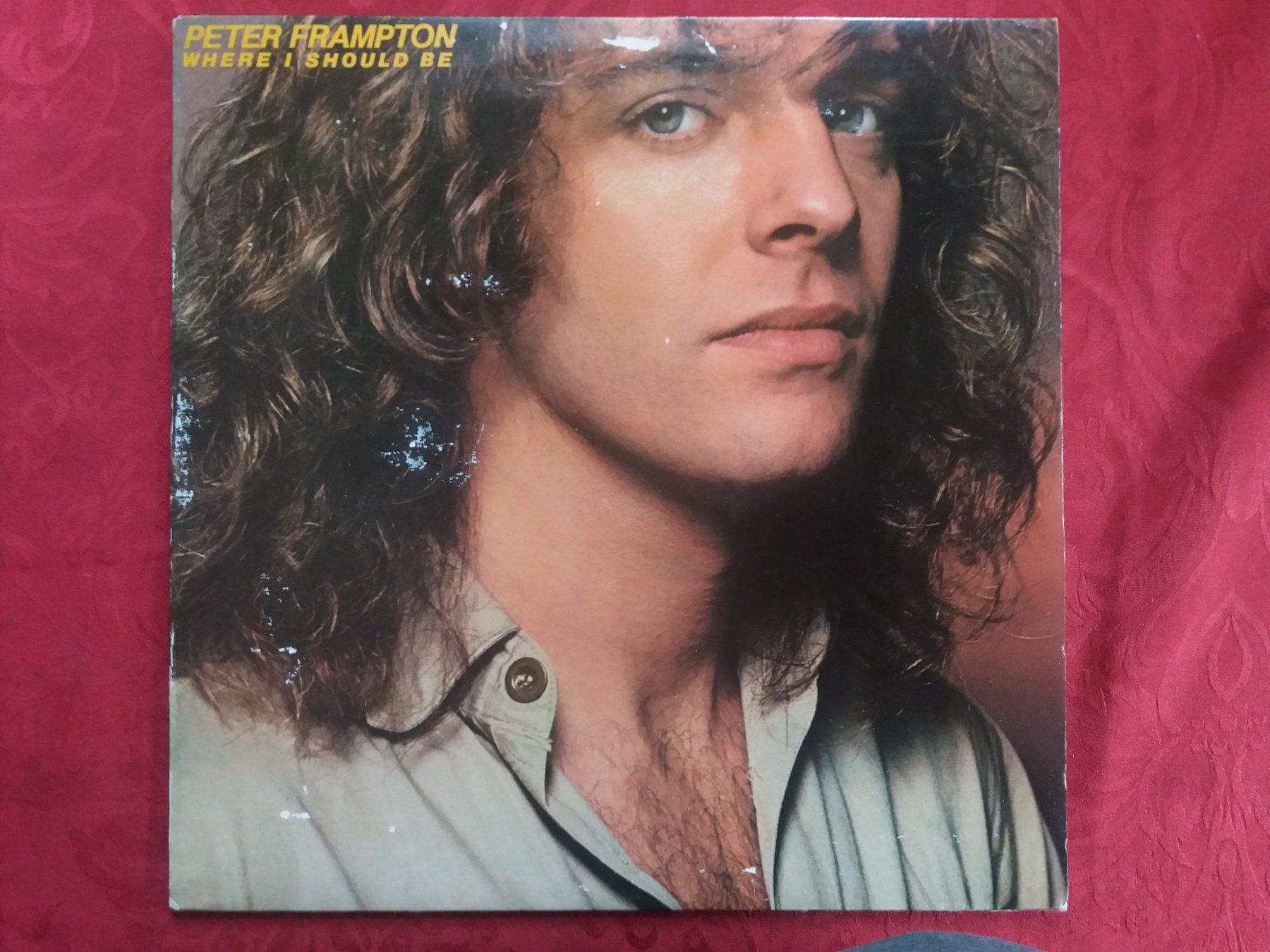 Dischi in vinile: LP (Peter Frampton) Where i should be – Usato da Meyrin venduto da toutatis
