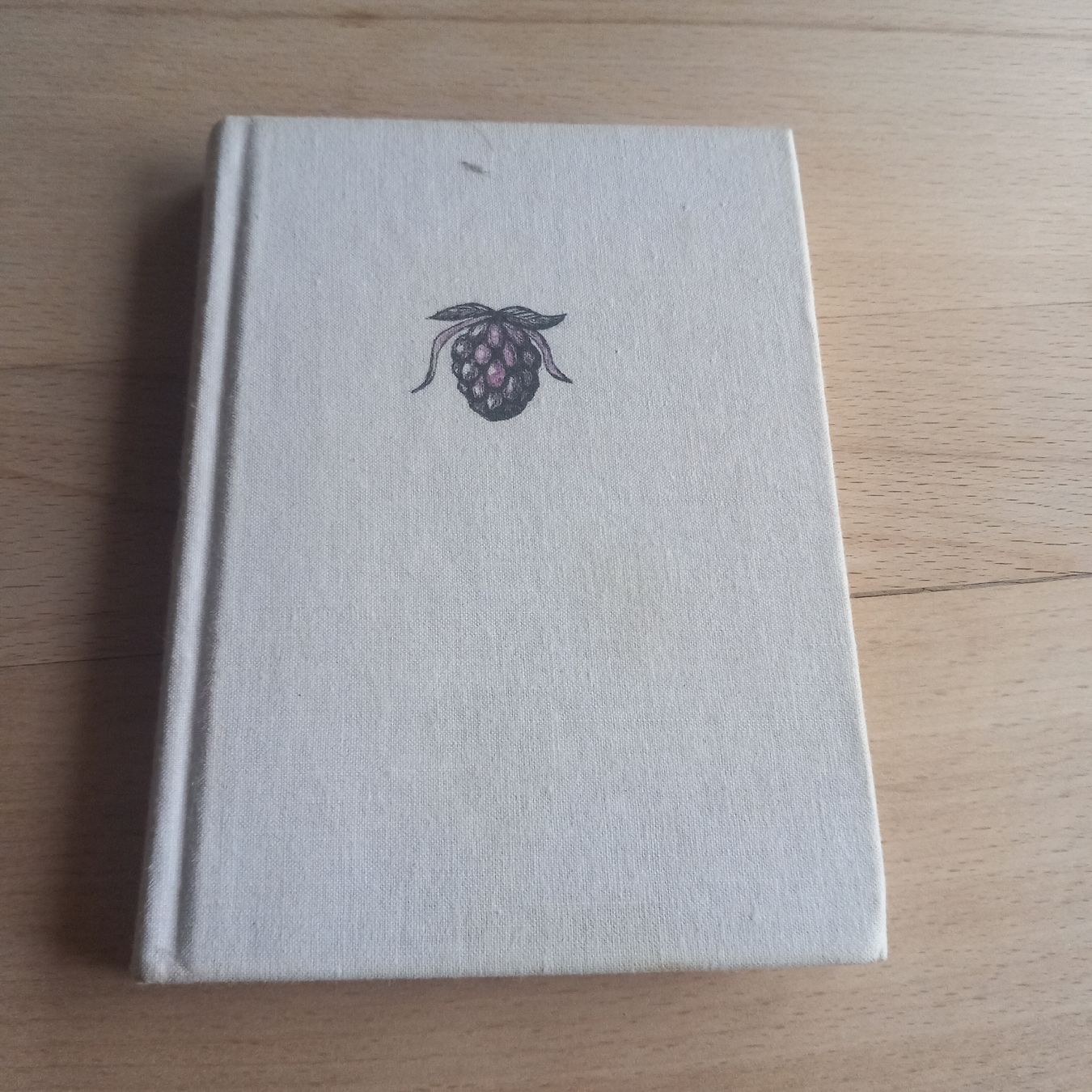 Livres: Goethe Hundert Gedichte – D'occasion à Ebnat-Kappel par blazzi 1