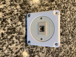FELLER NUP/NAP Telefonie/Datendose weiss - TOP