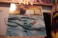 Barclay James Harvest - Turn Of The 1981  LP *GEWASCHEN`*VG+