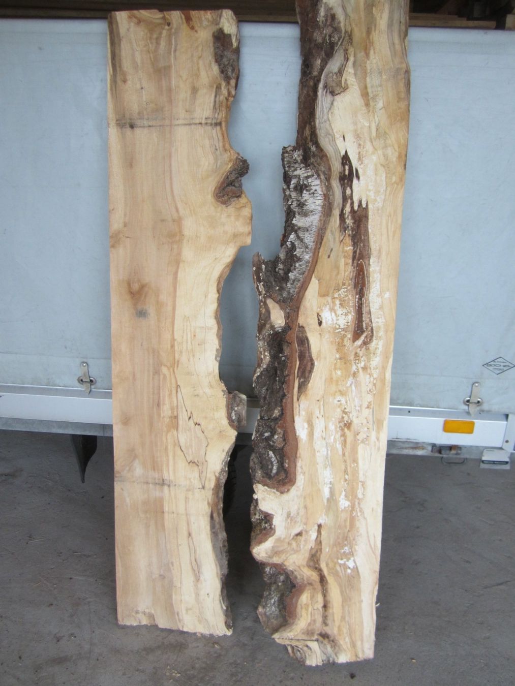 Articoli in legno: Holz für Epoxy Tischplatte – Nuovo (secondo la descrizione) da Nesslau venduto da Jakobi01 3