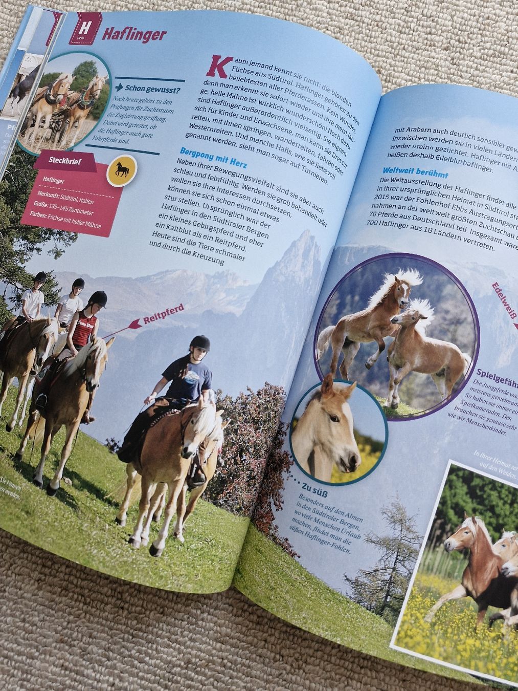 Libri: Pferde und Ponys – Usato da Luterbach venduto da martinagl83 2
