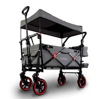FUXTEC FX-CT850 Premium Bollerwagen grau