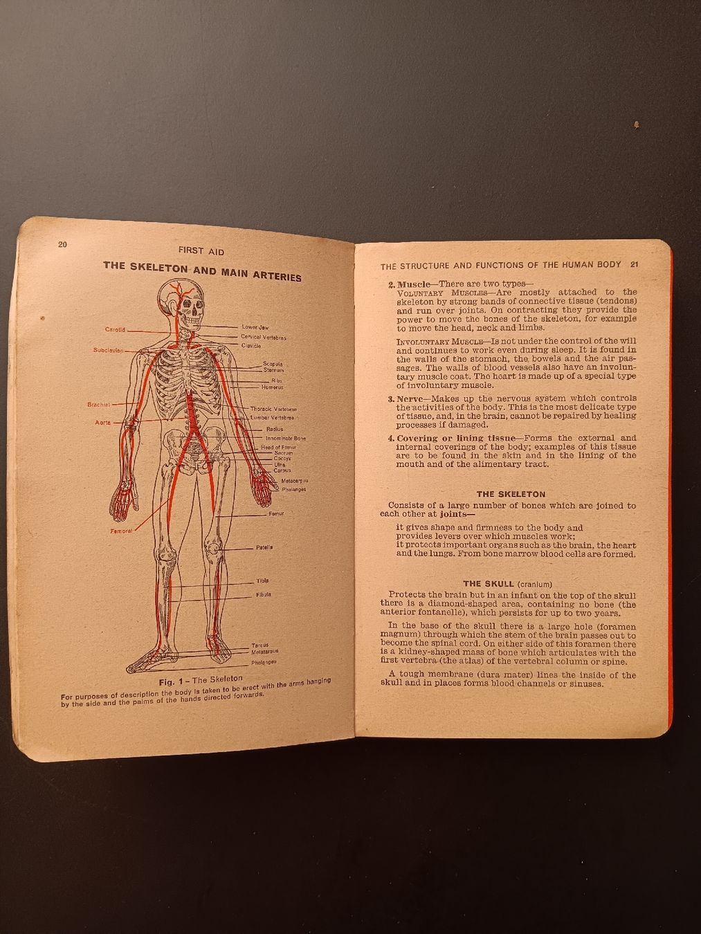 Libri: Manuel de premier secours first aid vintage – Usato da Lausanne venduto da Grabock 1