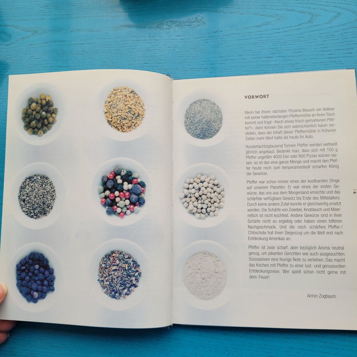 Libri: Pfeffer- Armin Zogbaum    Kochbuch Ratgeber – Nuovo (secondo la descrizione) da SCHÜBELBACH venduto da CoKaHa 2