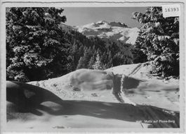 Motiv auf Flums-Berg im Winter en hiver