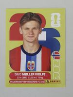 Panini FIFA WM 2026 * David Moller Wolfe (NOR 7)
