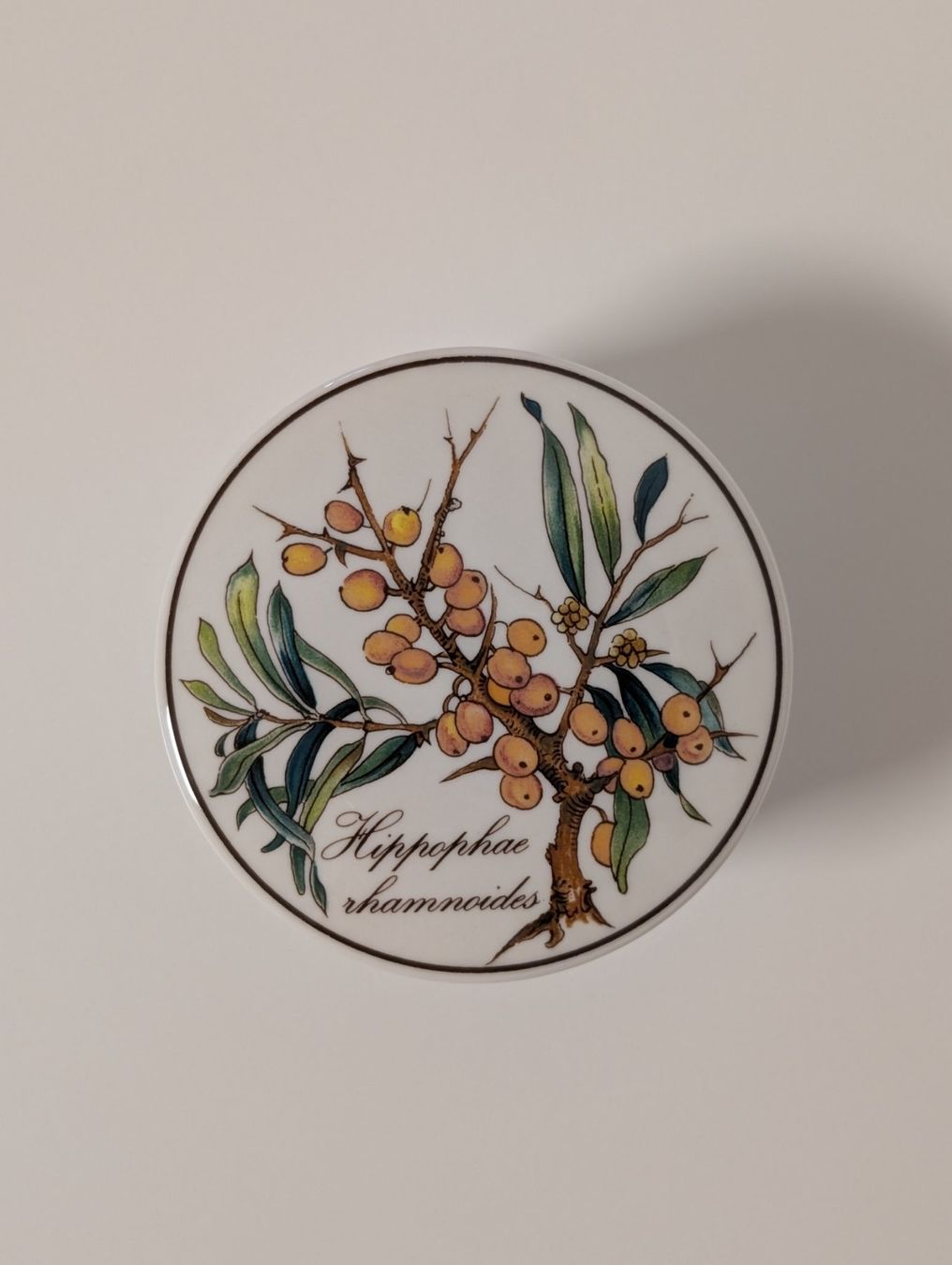 Zuckerdosen: VILLEROY & BOCH Botanica Dose, vintage – Gebraucht aus Zürich von Good_old_days 1