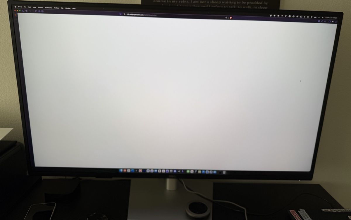 Dell Monitor: Dell UltraSharp U4323QE – Usato da Zürich venduto da buy_d5vz
