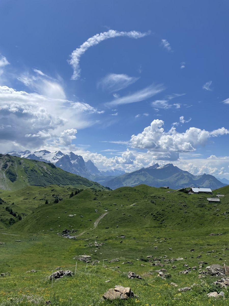 Aliments & Spécialités: Alpmutschli 2026 – Neuf avec emballage d'origine à Hasliberg-Goldern par flowerbauer74 2
