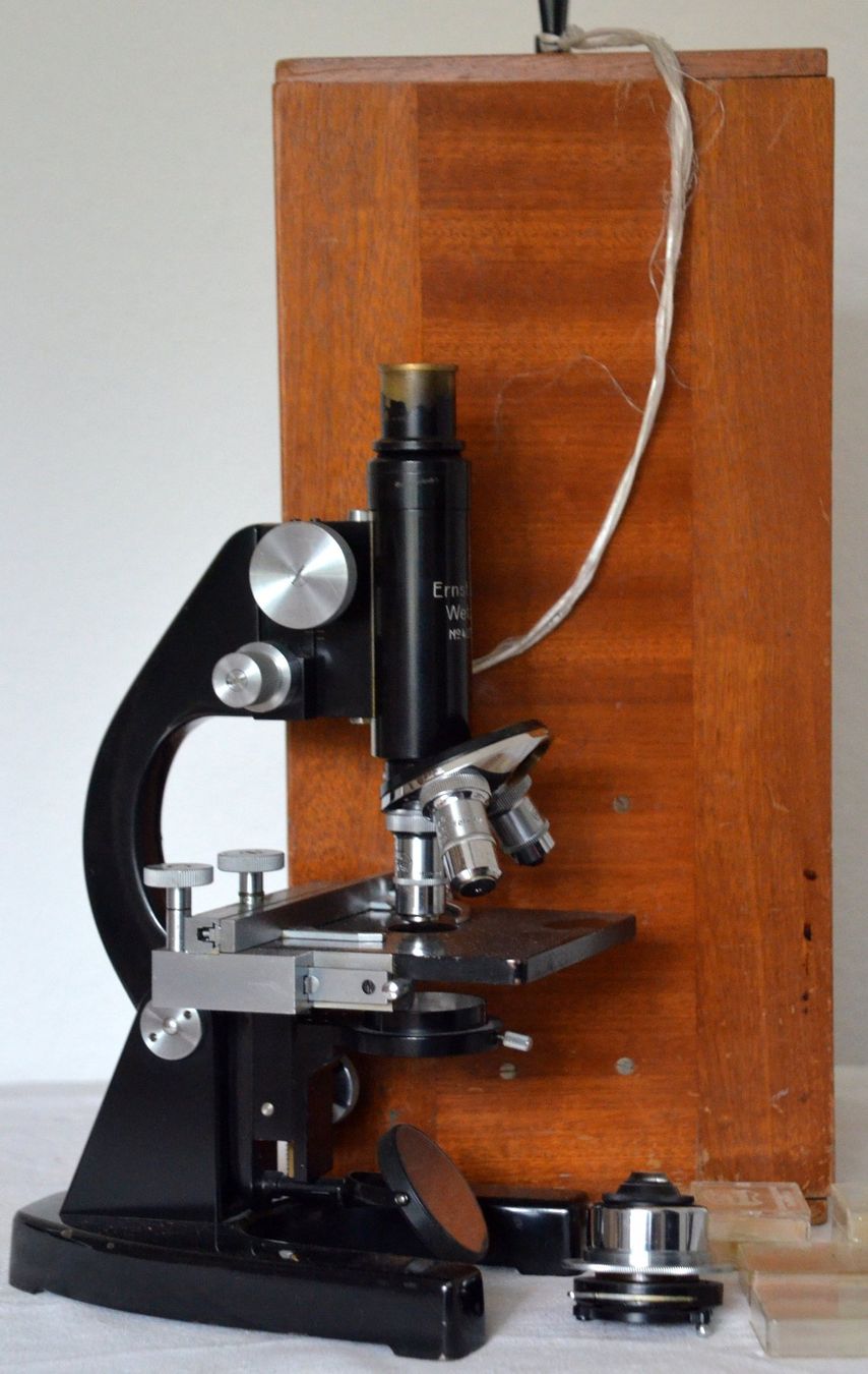 Leitz Microscopi: Ernst Leitz Wetzlar Mikroskop / microscope – Usato da Collonges venduto da arashee 1