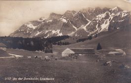 An der Bernhalde Lauchwies  N°2157  1922