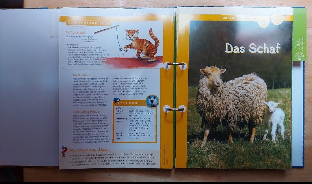 Libri: Kinder Ordner Tiere - Natur – Usato da Steinen venduto da bruvlatur86 1