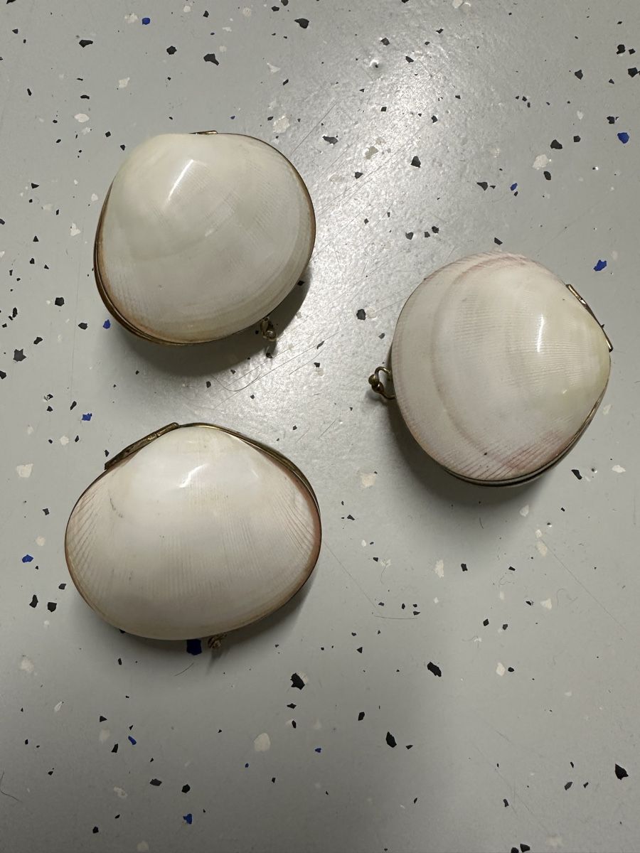 Tutte le decorazioni: Antike Pillendose Muscheln  – Usato da Oberentfelden venduto da vilibrand 7