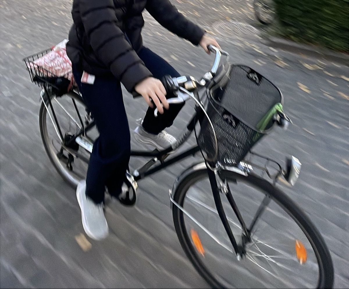 Biciclette: City Bike with baskets – Usato da Birsfelden venduto da esc_s7dz 1