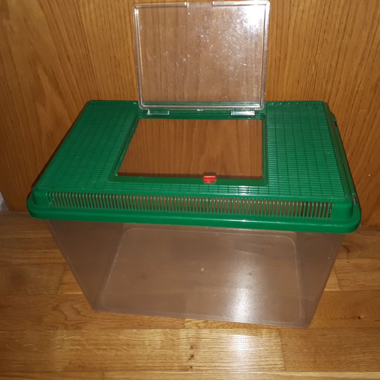 Balacoo Ameisenwasser-Futterspender – 2 Stück, Aus Acryl, Transparent, Für Ameisenfarm & Insektenhabitat