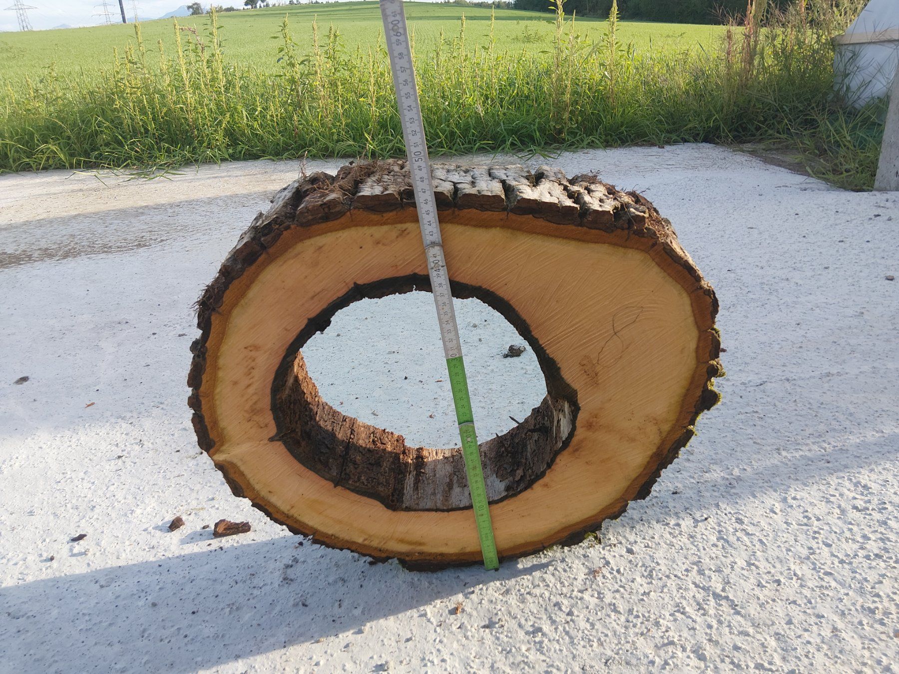 Articles en bois: Nussbaum Holzscheibe Nr. 8 Dekoration – Neuf (Voir description) à Affoltern am Albis par ret_6x6z 1