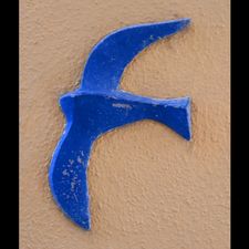 Profile image of Flopi