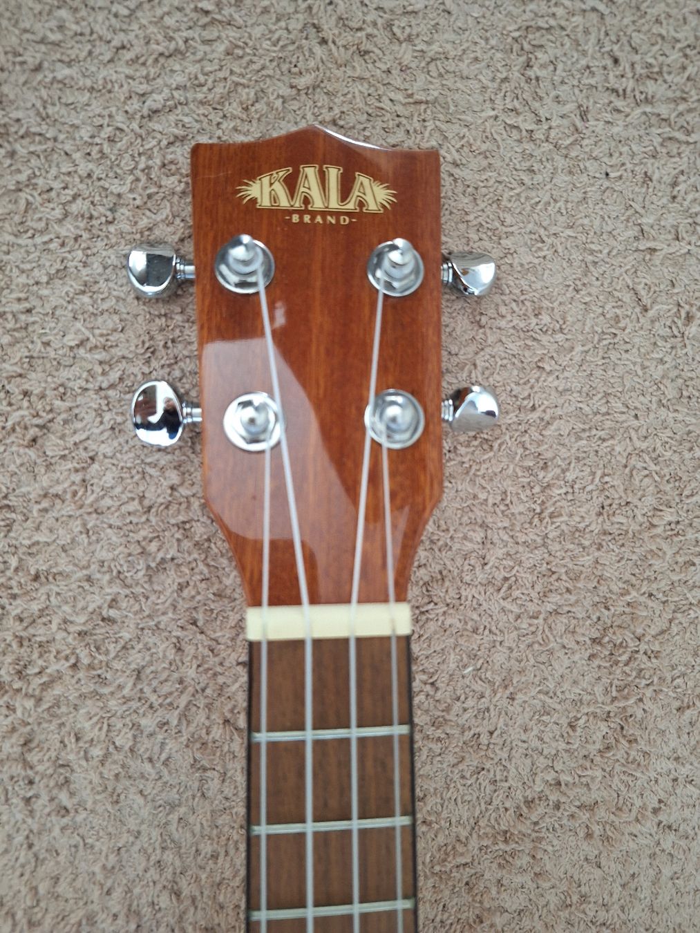 Instruments de musique: Kala Ukulele  – Neuf (Voir description) à Chur par dddd94 1