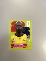Panini 2026