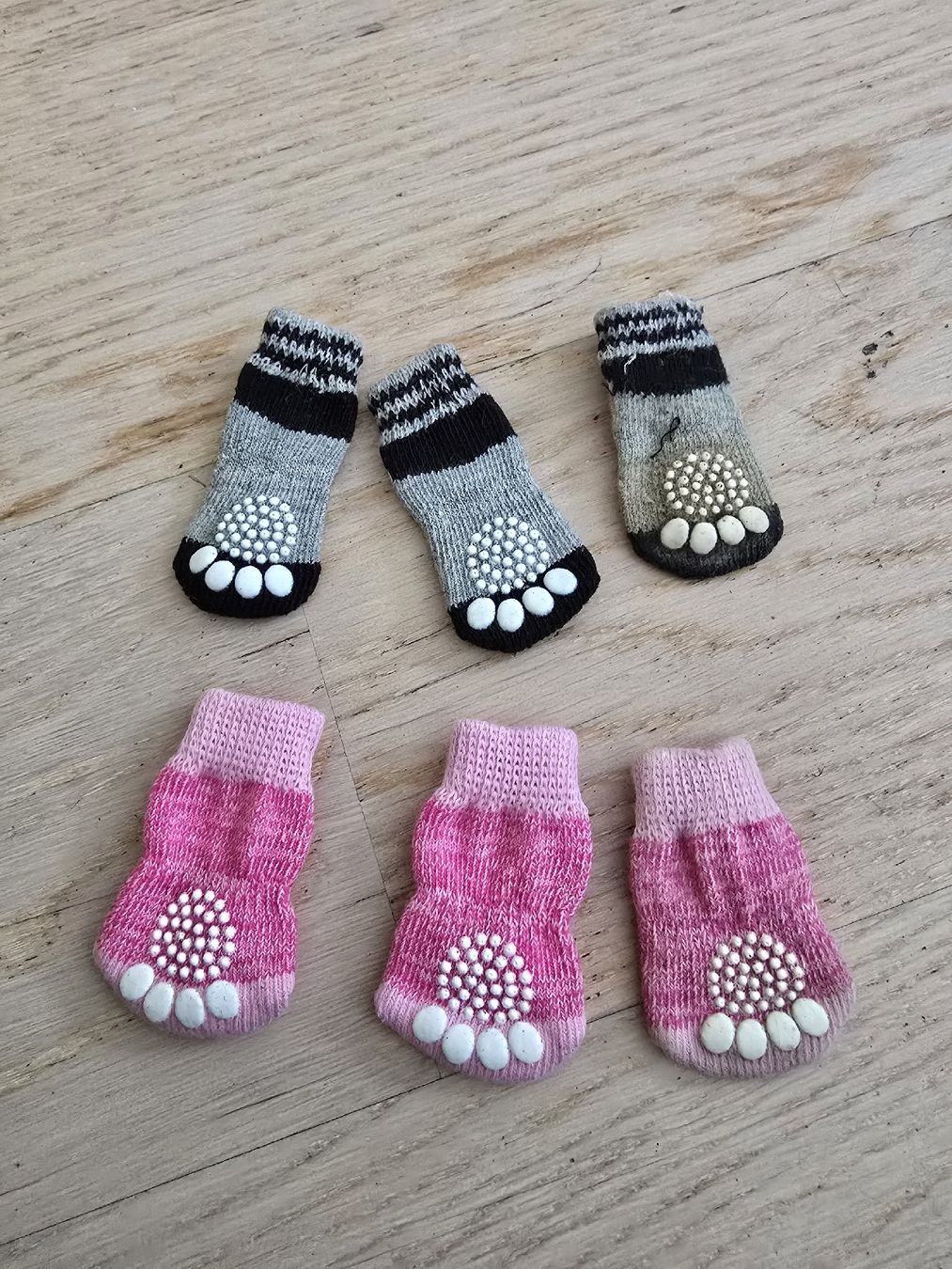Bekleidung: Hundesocken – Gebraucht aus Rickenbach b. Wil von Kth_v8