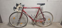 Scott Rennvelo 28"mit Compagnolo Komponente