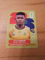 Panini WM 2026 RSA 14