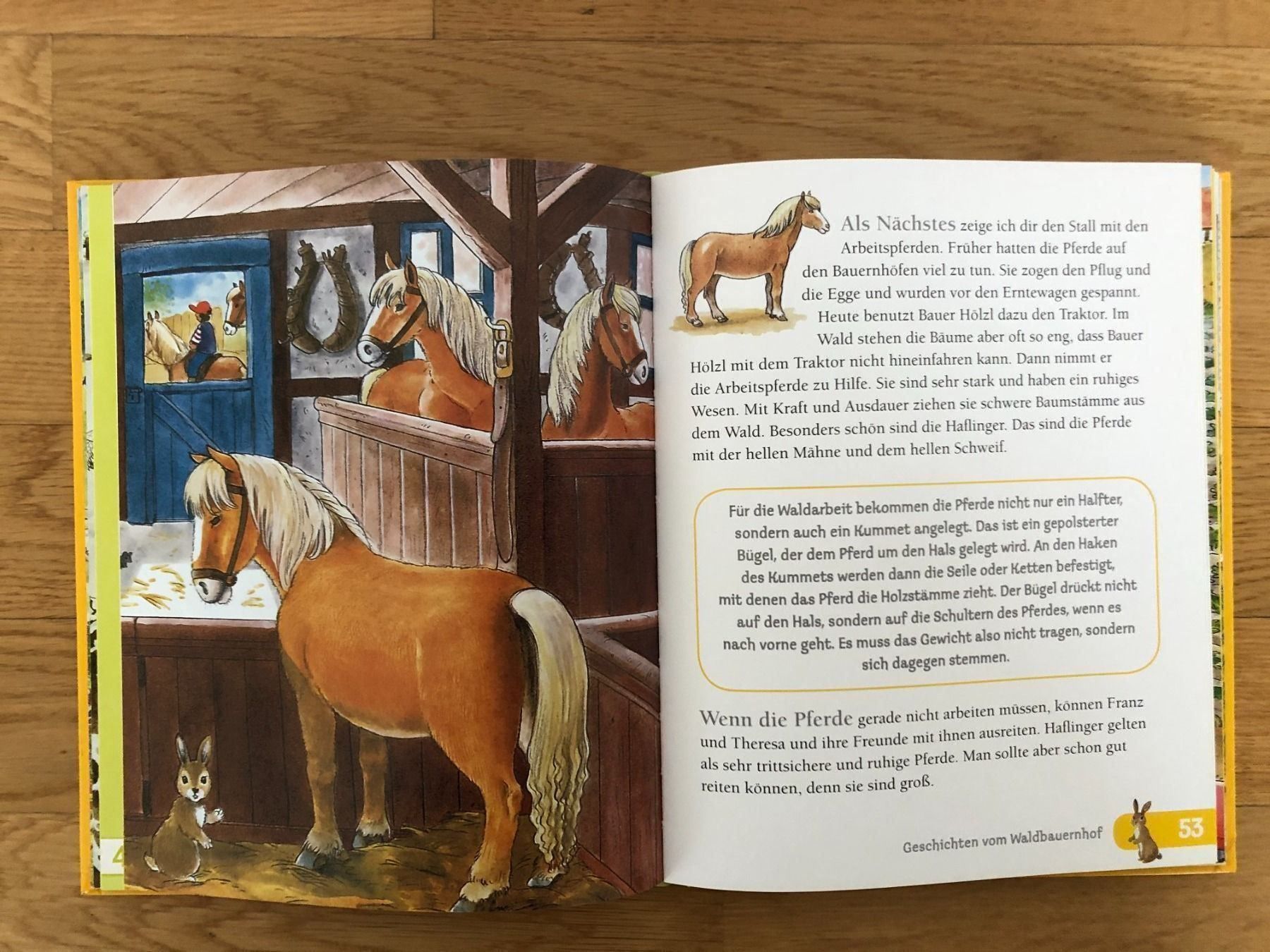 Libri: Schönes Bauernhof Buch – Usato da Buchs SG venduto da sunset55 2
