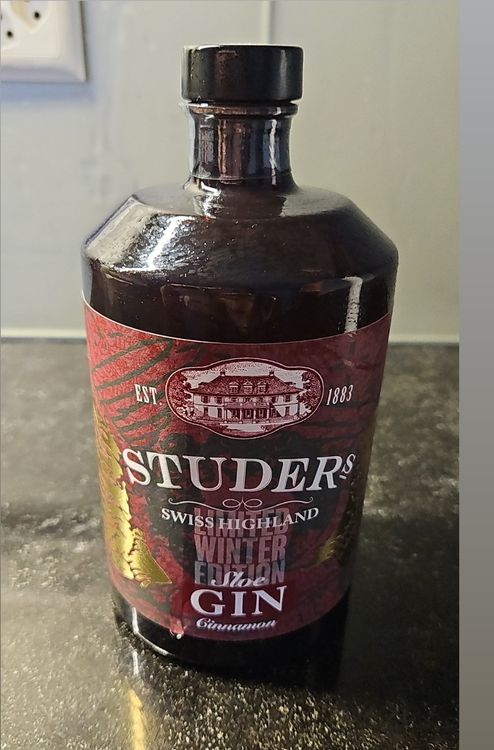 RICARDO GIN S BIELSA visual data 2