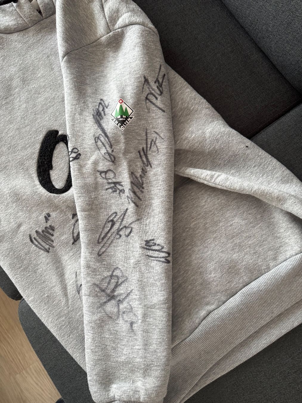 Maglioni & Felpe: EHCO Pullover mit Unterschriften – Usato da Rothrist venduto da spagro 3