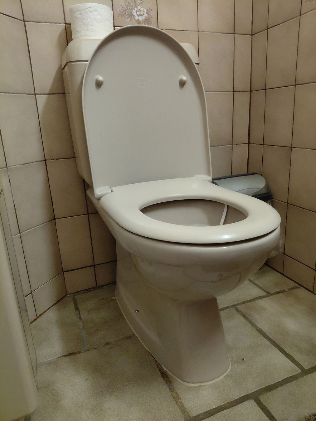 WC: Wc Schüssel (Farbe Beige) – Usato da Grenchen venduto da cuc_8mdr