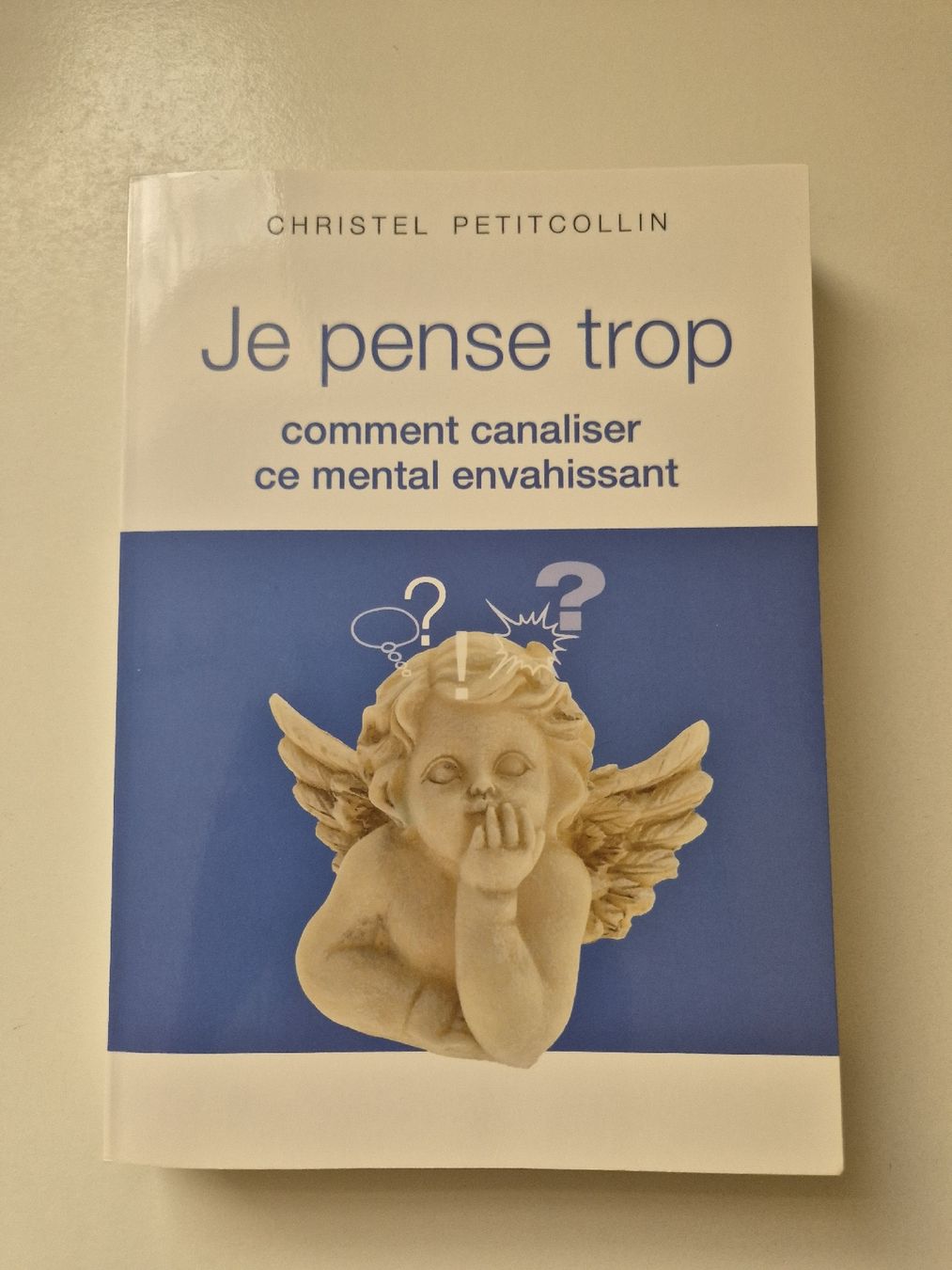 Libri: Je pense trop; Christel Petitcollin – Usato da Domat/Ems venduto da ver_7q9b