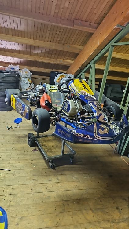 Karts: Praga schaltkart mit iame kz schaltmotor – Gebraucht aus Bütschwil von gtpower91 2