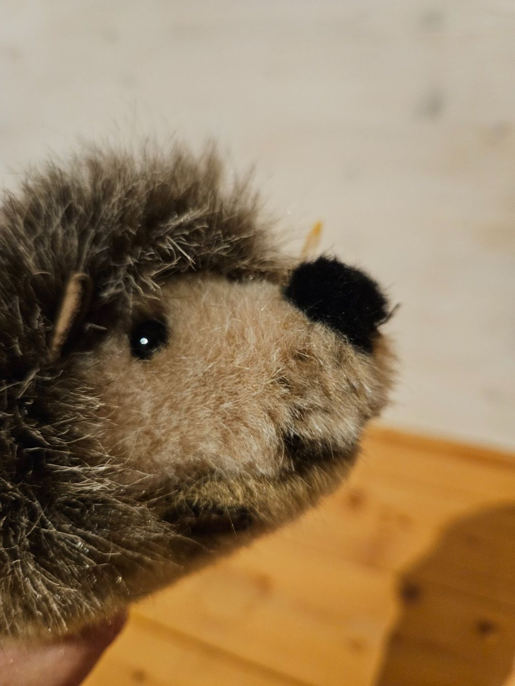 Steiff Giocattoli: NEU Steiff Igel Plüschtier – Usato da Rifferswil venduto da fle_5nqr 3
