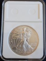 USA Eagle Silber 1 oz 2013 999