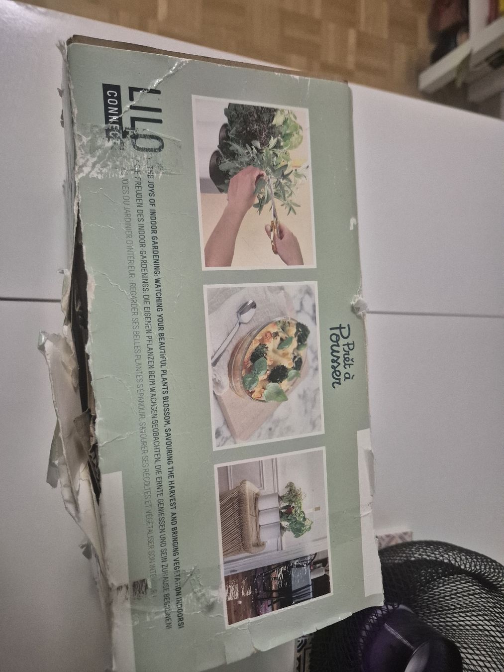 Piante & sementi: Jardin d'herbes LILO Connect  – Nuovo e nell'imballaggio originale da Plan les ouates venduto da Loolla 1