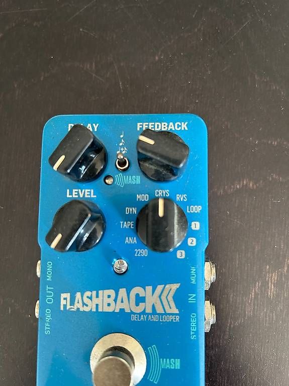 Strumenti musicali: TC Electronic Flashback 2 Delay Effekt Pedal – Usato da Bern venduto da lor_s9hx 4