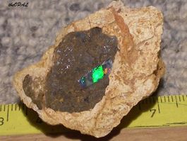 theOPAL *** ROHER BOULDER OPAL 114,90ct ***