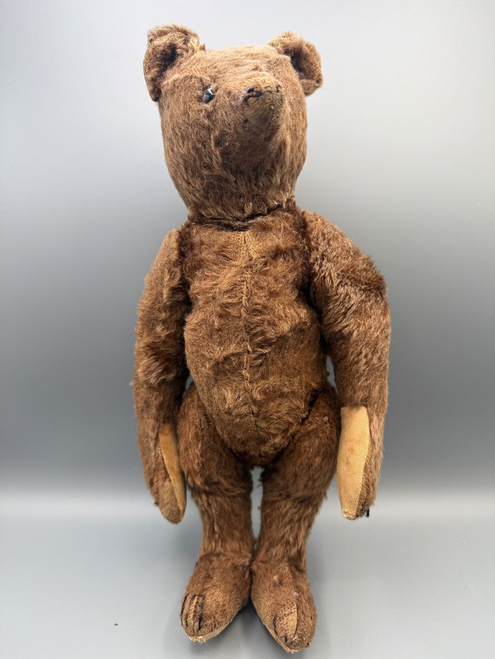 Steiff Giocattoli: Antiker Steiff Teddybär um 1920-1925 – Usato da Ueberstorf venduto da Brocandi 3