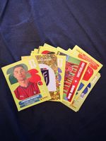 30 Panini Sticker WM 2026